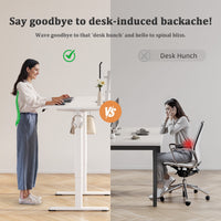 Electric Adjustable Standing Desk 48 x 24 Inches & 55 x 24 Inches
